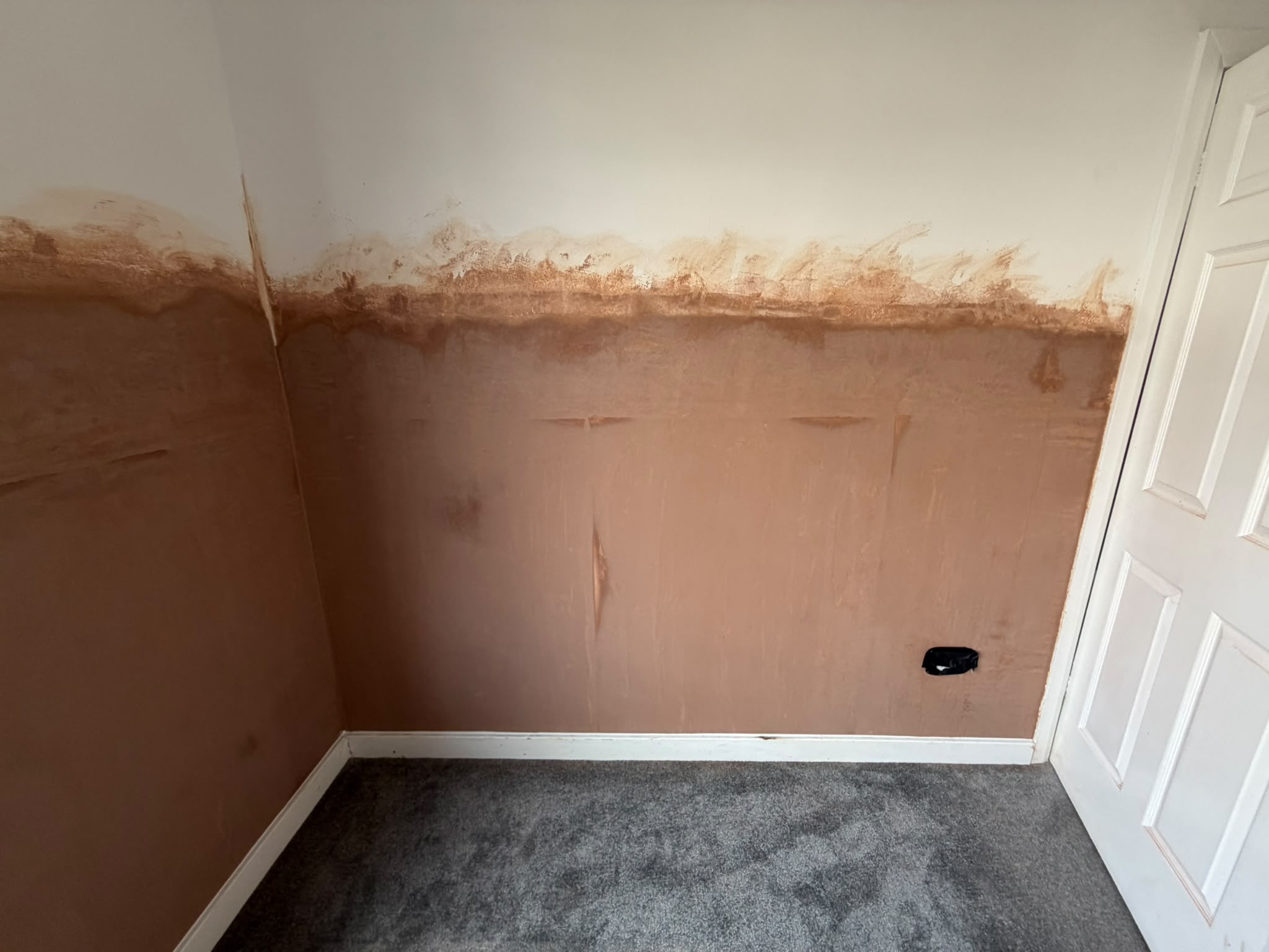 A fresh render coat on the lower walls following damp proof course work
